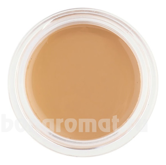    Concealer Cache Cernes