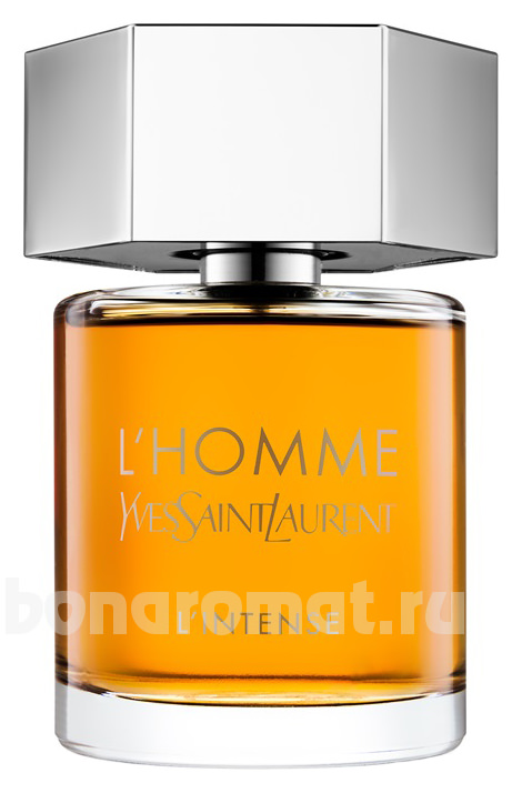 YSL L'Homme Parfum L'Intense