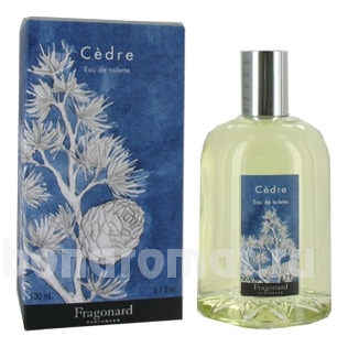 Cedre