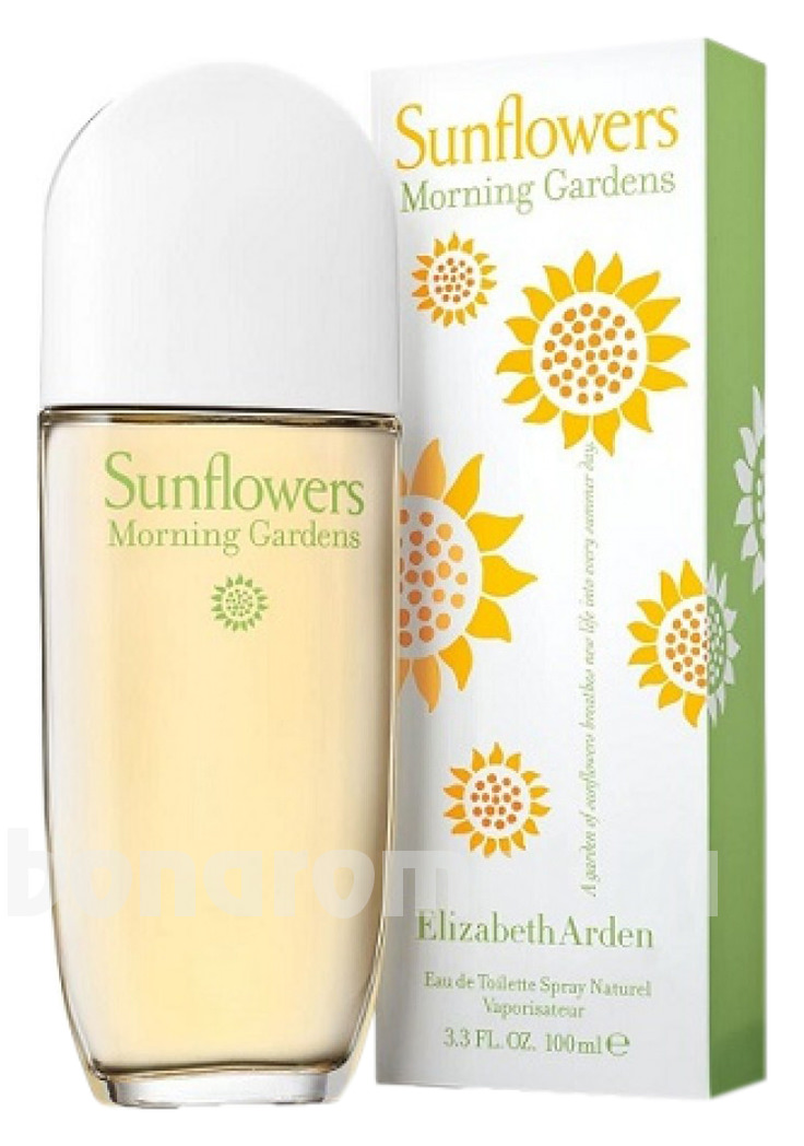 Sunflowers Morning Gardens