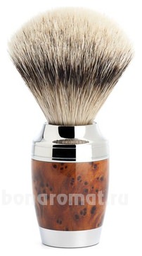   Modern Stylo (    Silvertip)