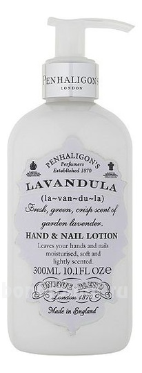 Lavandula