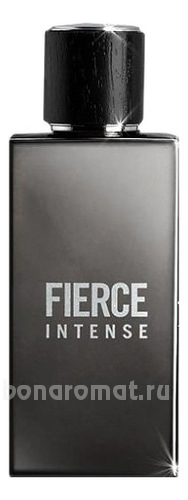 Abercrombie & Fitch Fierce Intense