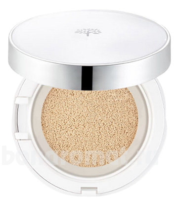   - Oil Control Water Cushion SPF50 PA