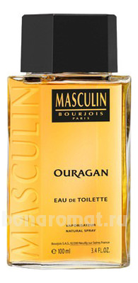 Masculin Ouragan 