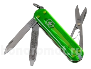 - Classic SD Colors Green Tea 58, 7  0.6223.T41G