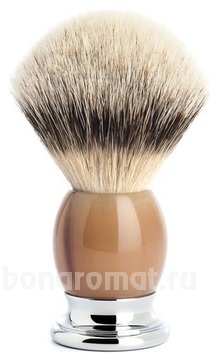    Classic Sophist  L (    Silvertip)