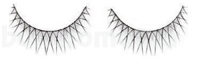   Daily Beauty Tools Pro Eyelashes