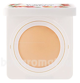    Face Fit Silk Concealer Pact SPF50 PA