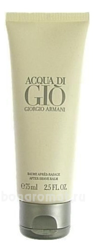 Armani Acqua Di Gio Pour Homme