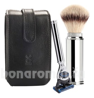  ( Gillette Fusion,      Silvertip,    )