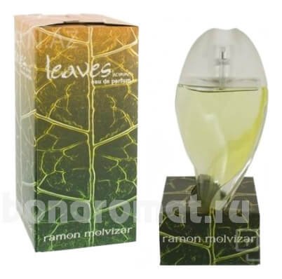 Leaves Homme