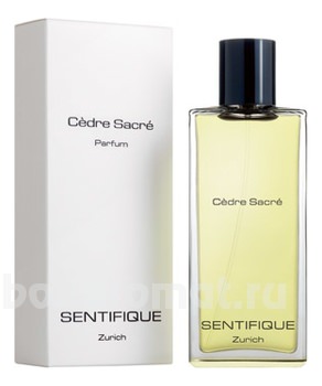 Cedre Sacre