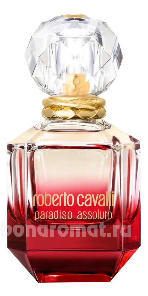 Paradiso Assoluto