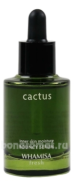 -     Cactus Inner Skin Moisture Bouncy Serum