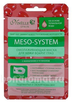            Meso-System