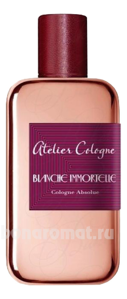 Blanche Immortelle