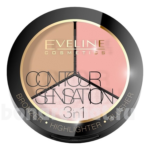     3  1 Contour Sensation