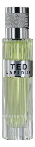 TED men