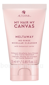      My Hair My Canvas MeltAway No-rinse Micellar Cleanser