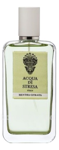 Mentha Citrata