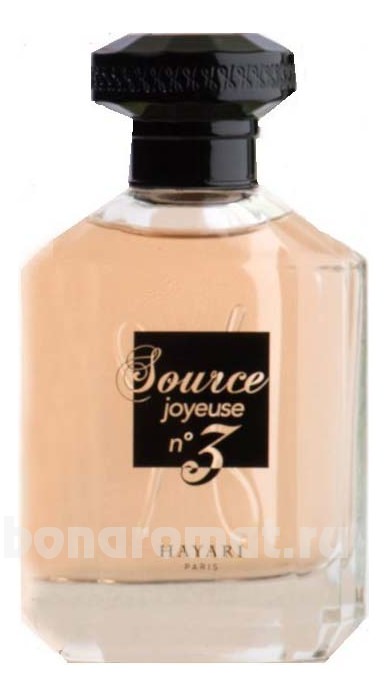 Source Joyeuse No3