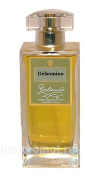 Gelsomino