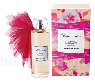 Cheers On The Terrace