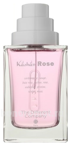 Kashan Rose