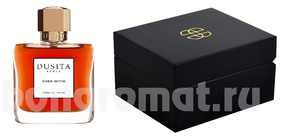 Oudh Infini