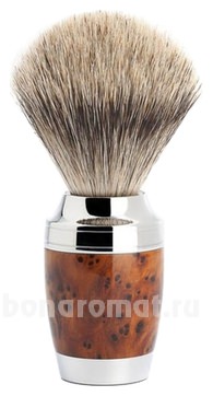   Modern Stylo (   Fine)