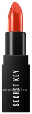    Fitting Forever Lip Stick 3,5