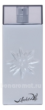 Silver Sun Pour Homme