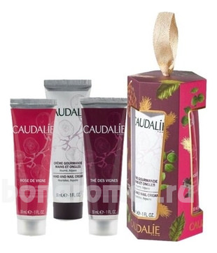      (Gourmande + The des Vignes + Rose de Vignes)