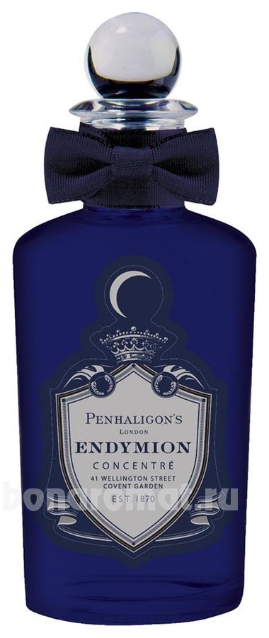 Endymion Concentre