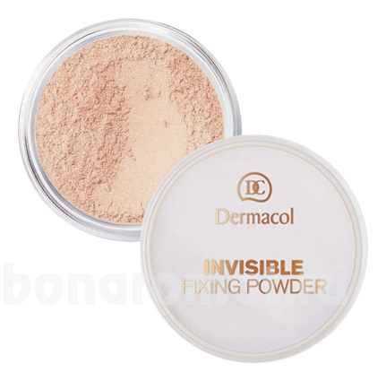     Invisible Fixing Powder 13,5