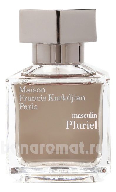 Pluriel Masculin