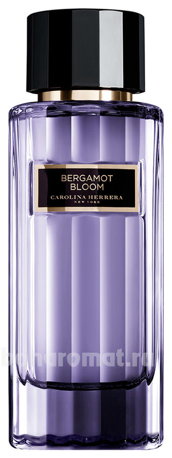 Bergamot Bloom
