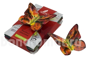       Compliment  (   No115 2 +   No119 1 +   No105 1 +   No107