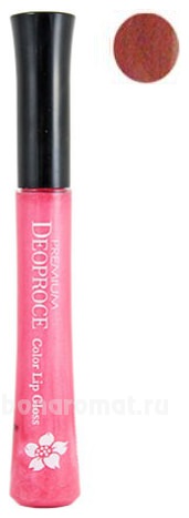    Premium Color Lip Gloss