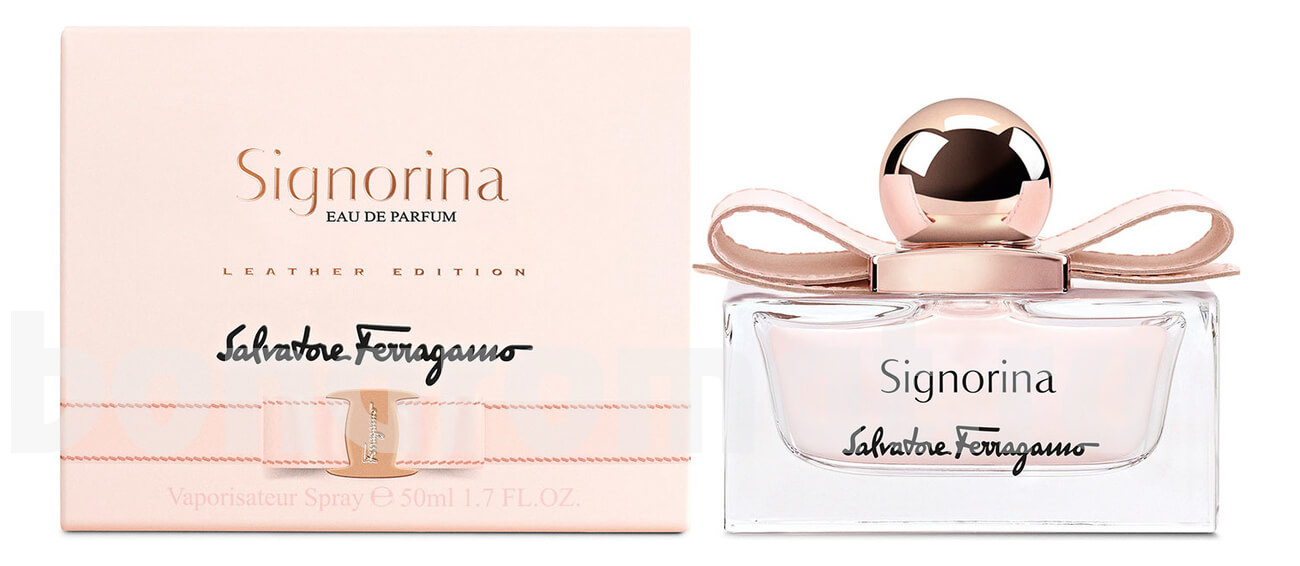Signorina Leather Edition