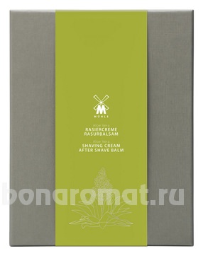  Skincare Aloe Vera (     Shaving Cream    100)