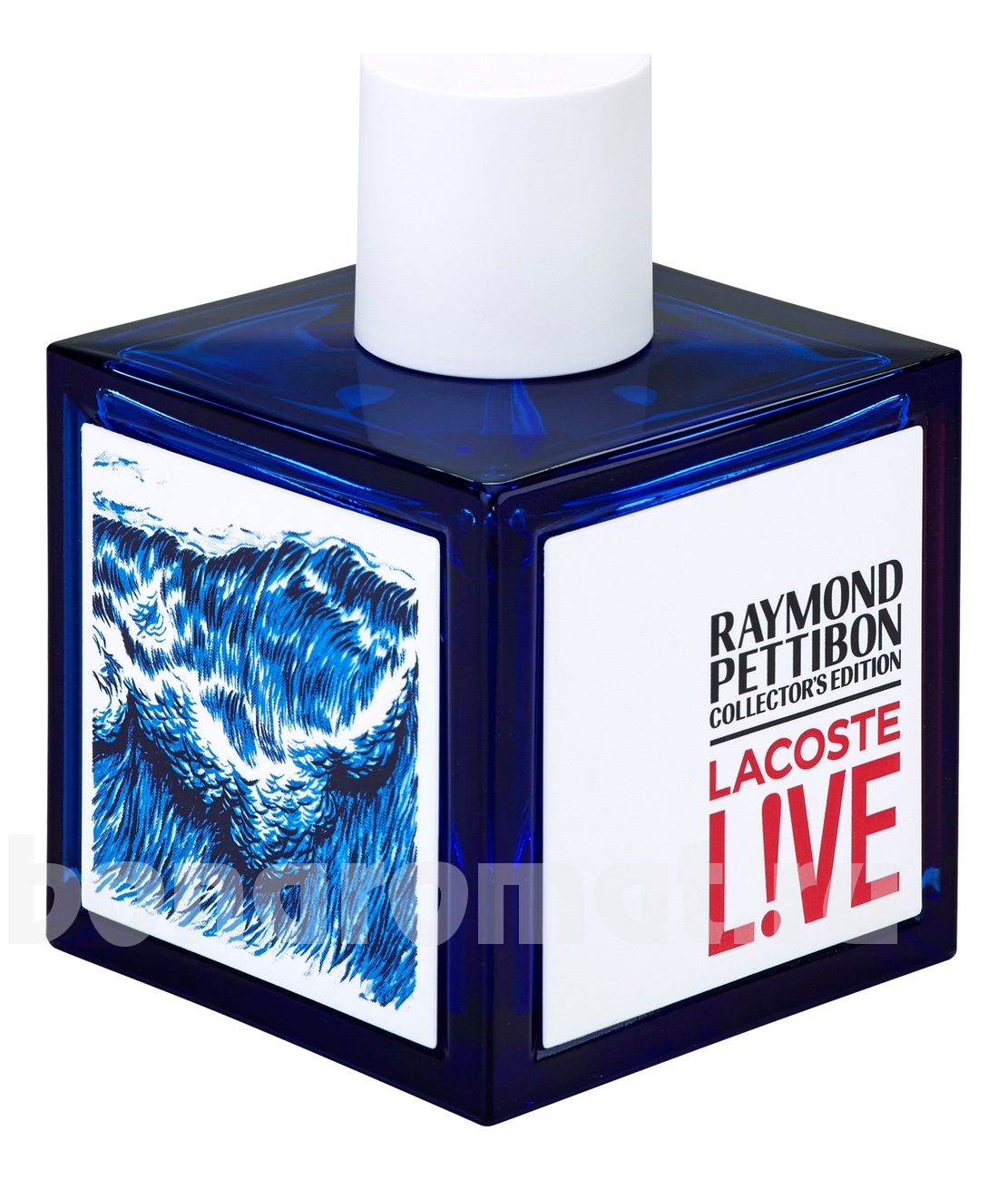 Live Raymond Pettibon Collector's Edition