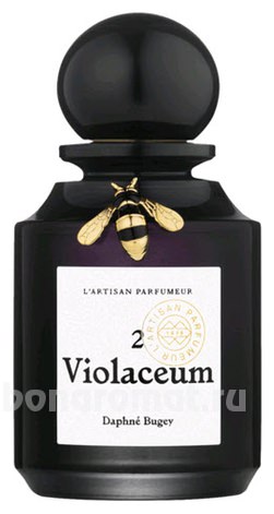 2 Violaceum