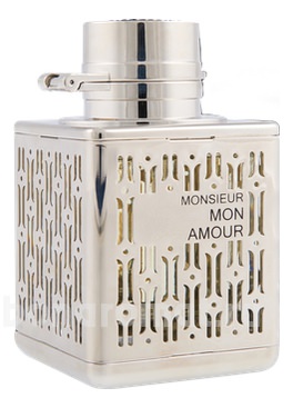 Monsieur Mon Amour