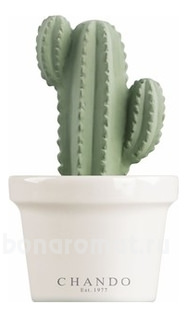  Blooming Good Friend Lemon & Green Tea (   )