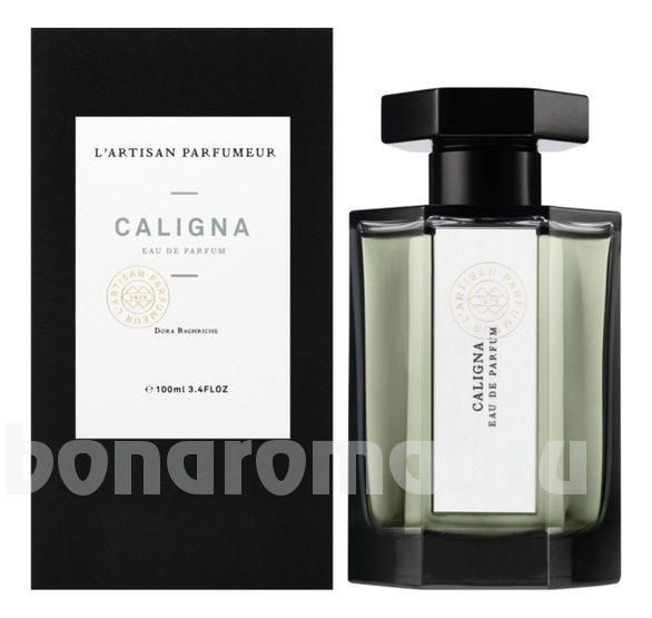 Caligna