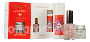     Figue De Barbarie Eclat Visage (     100)