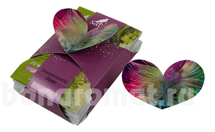       Compliment  (    No113 2 +   No119 1 +   No107 1 +   No10