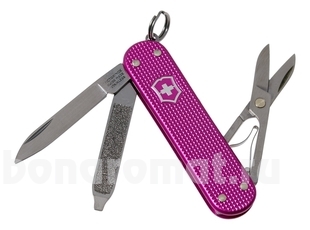 - Classic SD Alox Colors Flamingo Party 58, 5  0.6221.251G